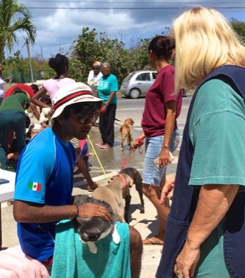 A photo from the AARF March 17, 2018 dog wash at the St. James School of Medicine