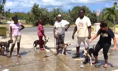 A photo from the AARF March 17, 2018 dog wash at the St. James School of Medicine