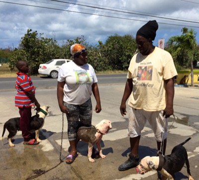 A photo from the AARF March 17, 2018 dog wash at the St. James School of Medicine