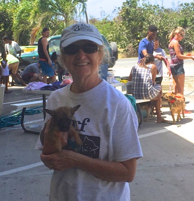 A photo from the AARF March 17, 2018 dog wash at the St. James School of Medicine