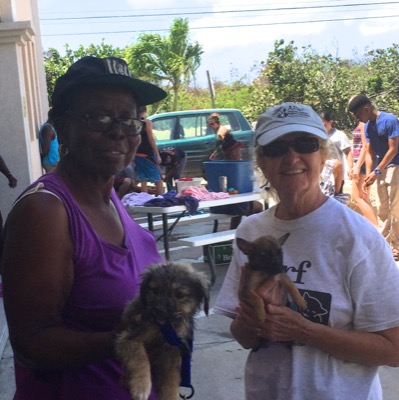 A photo from the AARF March 17, 2018 dog wash at the St. James School of Medicine