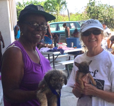 A photo from the AARF March 17, 2018 dog wash at the St. James School of Medicine