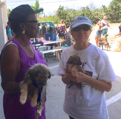 A photo from the AARF March 17, 2018 dog wash at the St. James School of Medicine