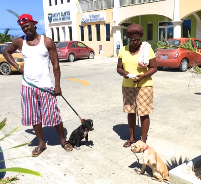 A photo from the AARF March 17, 2018 dog wash at the St. James School of Medicine