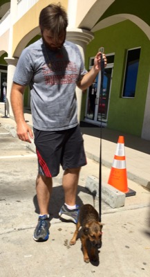 A photo from the AARF March 17, 2018 dog wash at the St. James School of Medicine