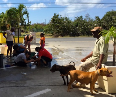 A photo from the AARF March 17, 2018 dog wash at the St. James School of Medicine