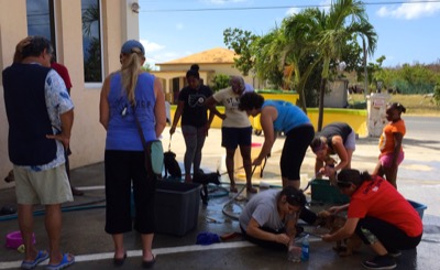 A photo from the AARF March 17, 2018 dog wash at the St. James School of Medicine