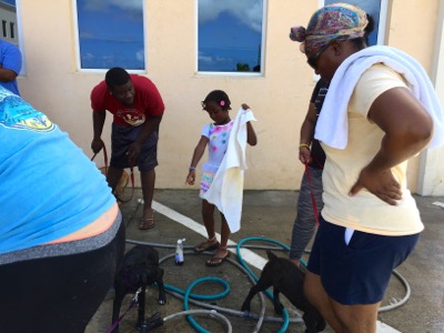 A photo from the AARF March 17, 2018 dog wash at the St. James School of Medicine