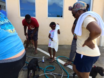 A photo from the AARF March 17, 2018 dog wash at the St. James School of Medicine