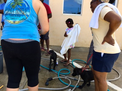 A photo from the AARF March 17, 2018 dog wash at the St. James School of Medicine