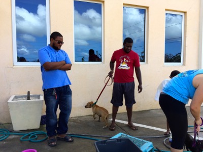 A photo from the AARF March 17, 2018 dog wash at the St. James School of Medicine