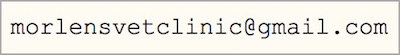 graphic showing Morlens email address