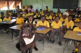 Hank visits Valley Primary School