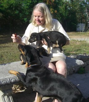 Maggie, Momma and the two puppies