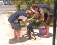 Phil washes a dog with Sally helping