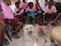 Penny talks to Stony Ground Primary students