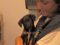 Yuki holds a small and cute black puppy