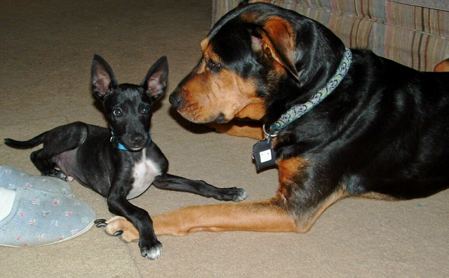 Jeter and Guinness playing a game of don't meet each other's eyes