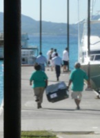 Allie in her crate being carried to the ferry on the way to St. Maarten