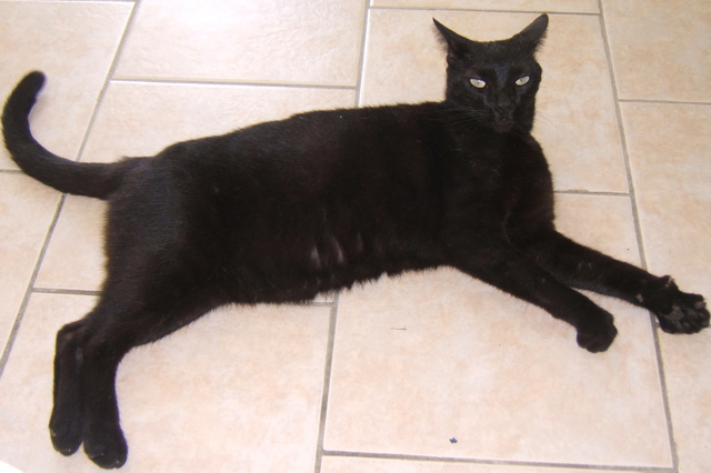 Blackie is happy!