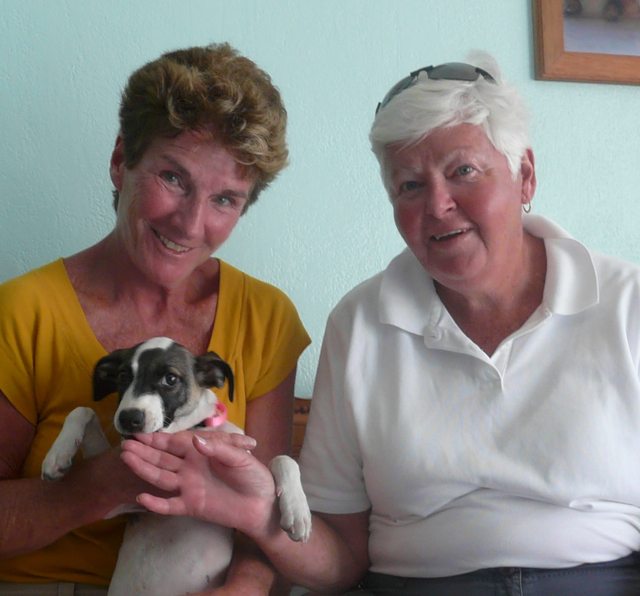 Savannah was rescued at Junks Hole and now lives in the Boston area