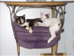 Sylvia and Coco