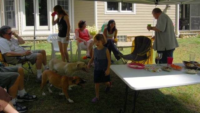 People and dogs under the tent shade