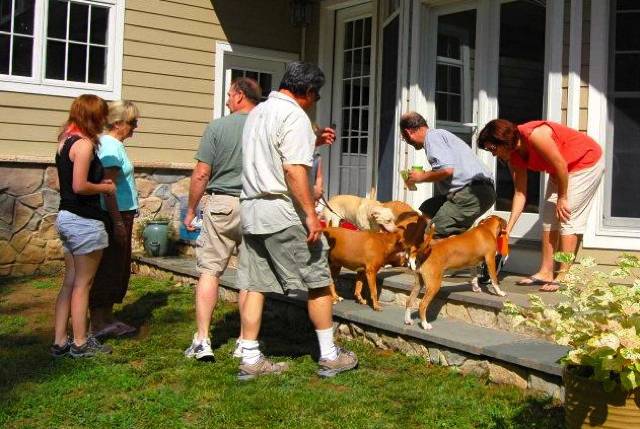 The dogs get some needed water