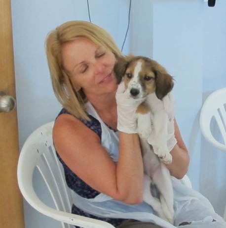 A photo showing a day in the life of an AARF volunteer